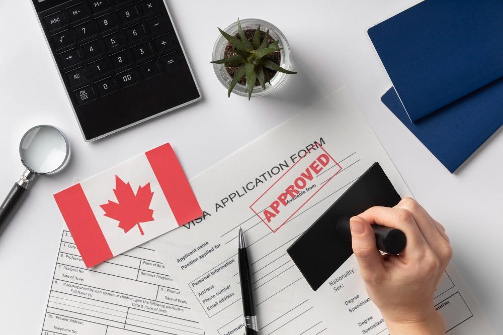 Top reasons to hire a trusted Canadian immigration consultant-sharkish-immigration-2